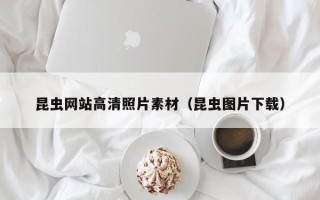 福建昆虫网站高清照片素材（昆虫图片下载）